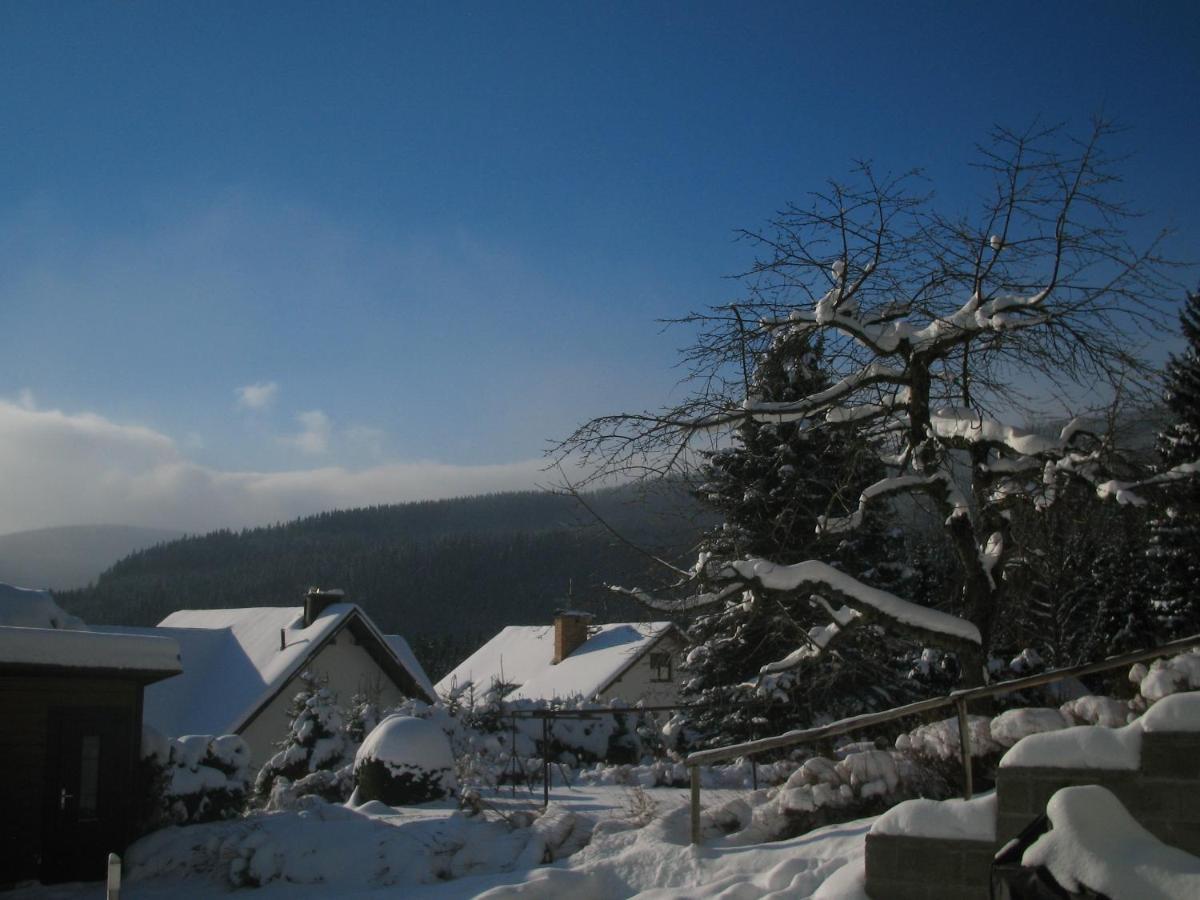 King Size Apartman Pension Monika Spindleruv Mlyn Exterior photo